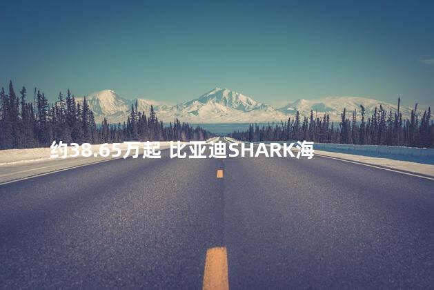 约38.65万起 比亚迪SHARK海外发布